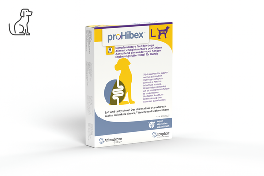 proHibex Anti-Diarrhoea (L) for dogs >25kg