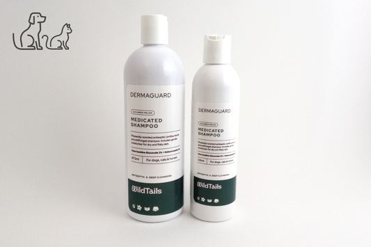 DermaGuard Medicated Shampoo