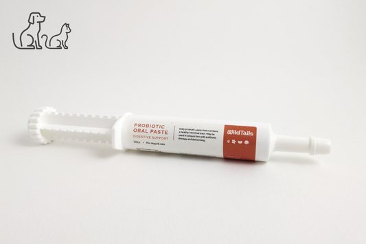 WildTails Probiotic Oral Paste
