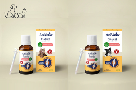 ProJoint Canine/Feline Oral Gel
