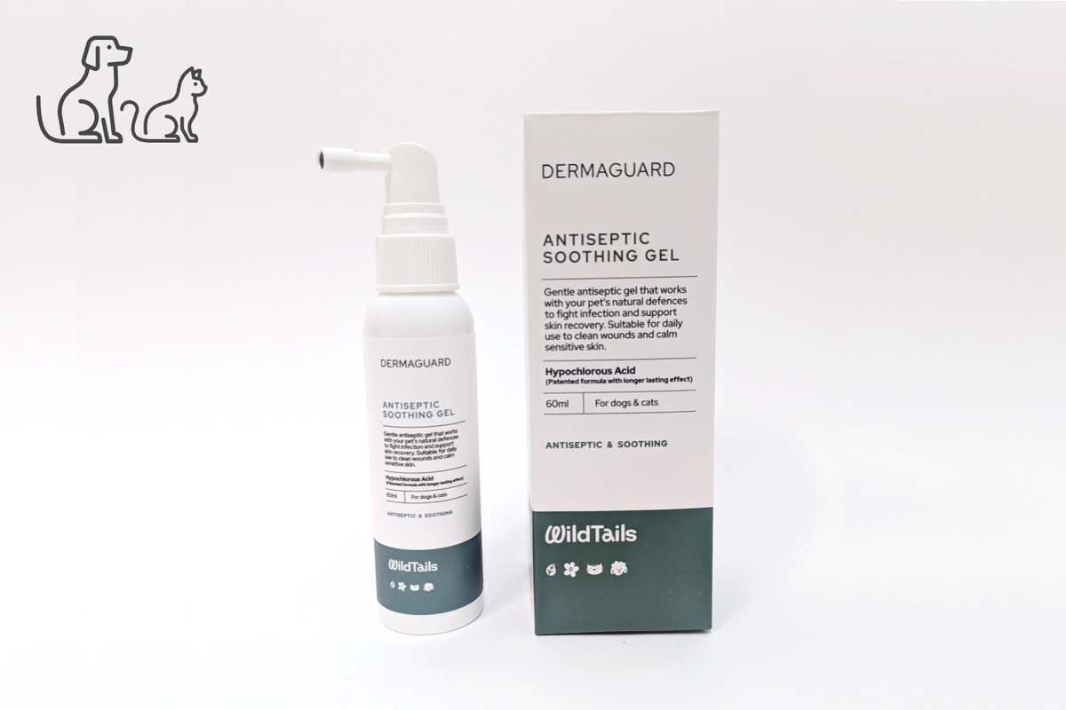 DermaGuard Antiseptic Soothing Gel