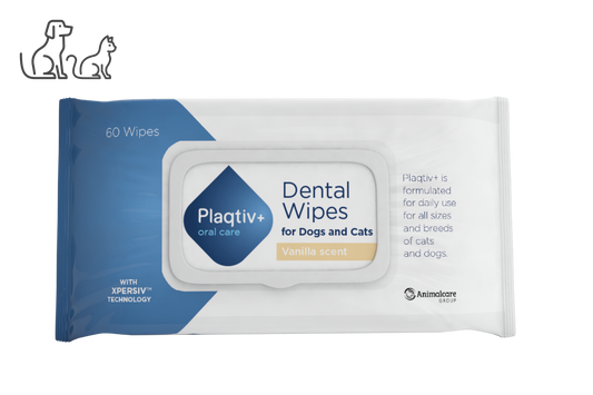 Plaqtiv+ Dental Wipes