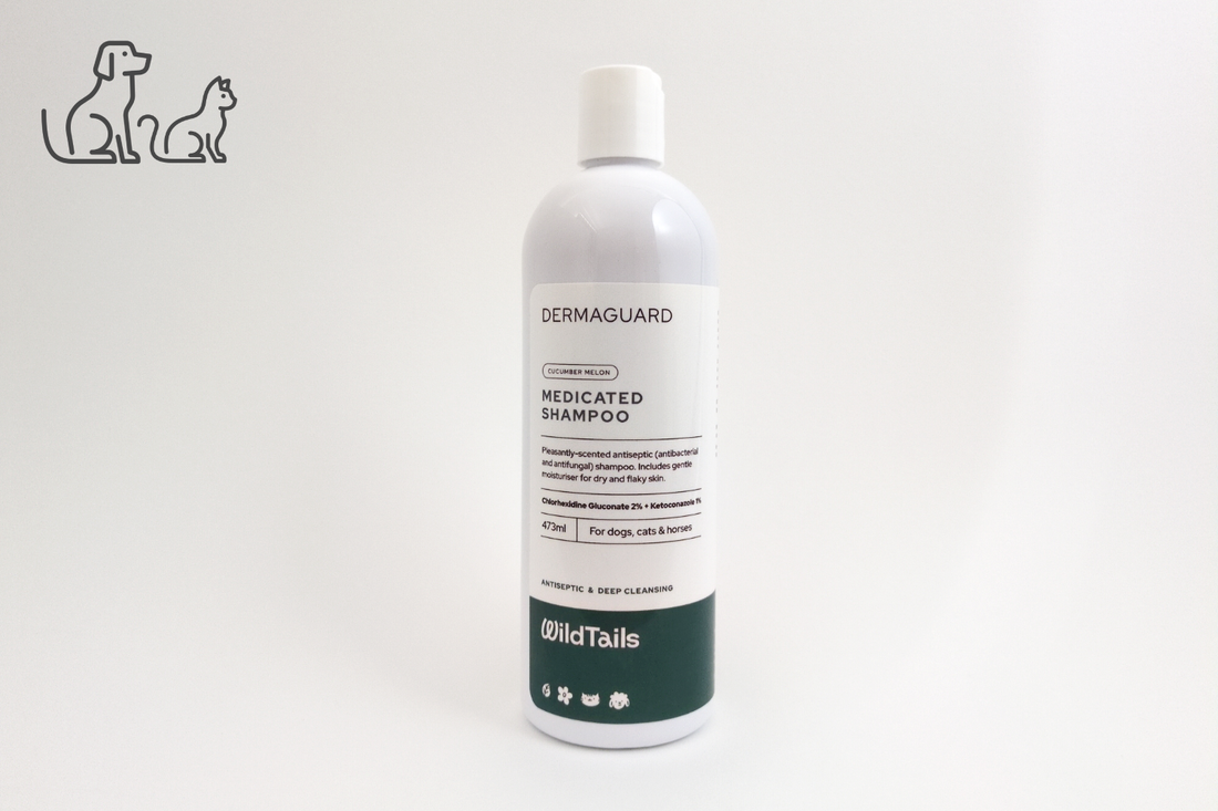 DermaGuard Medicated Shampoo – Paw Peak Care