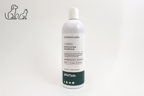 DermaGuard Medicated Shampoo – Paw Peak Care