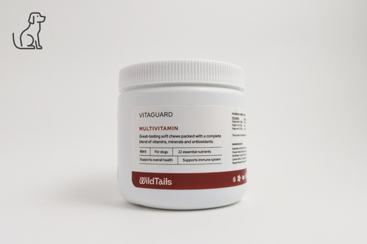VitaGuard Multivitamin - 22 Essential Nutrients