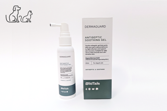 DermaGuard Antiseptic Soothing Gel