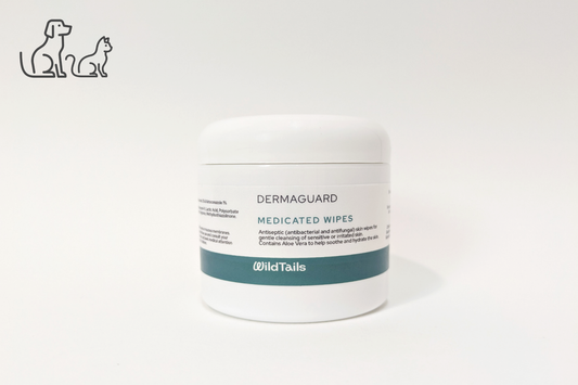 DermaGuard Medicated Wipes